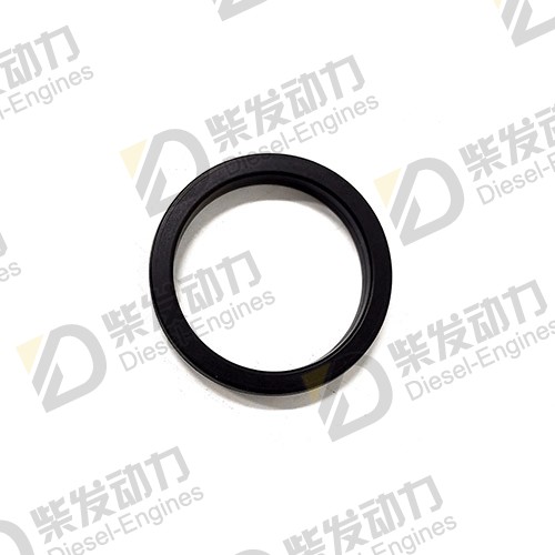 Sealing ring 20532258